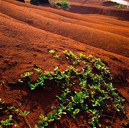 英国21年游戏市场销售额71.6 亿英镑 创新纪录